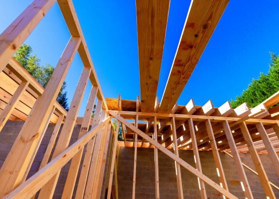 Untitled design - 2025-11-27T093435.499