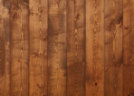 Untitled design - 2025-11-27T093500.843